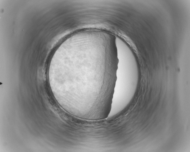 X0000087530628200705112032