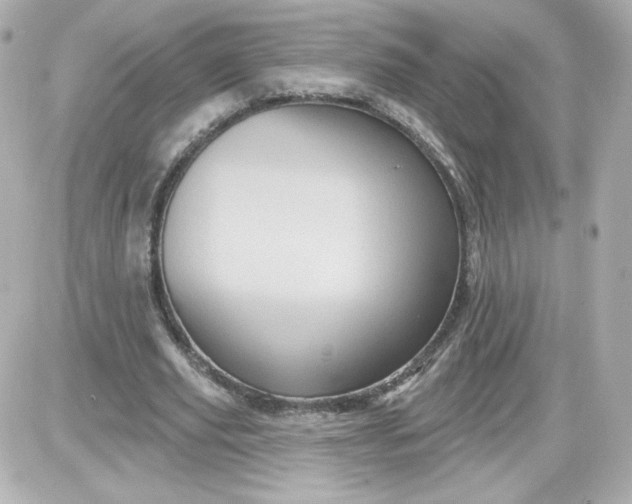 X0000087530629200705112032