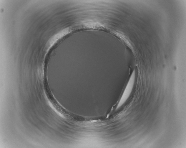 X0000087530630200705112032