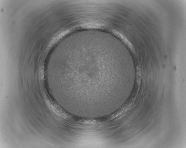 X0000087530631200705112032