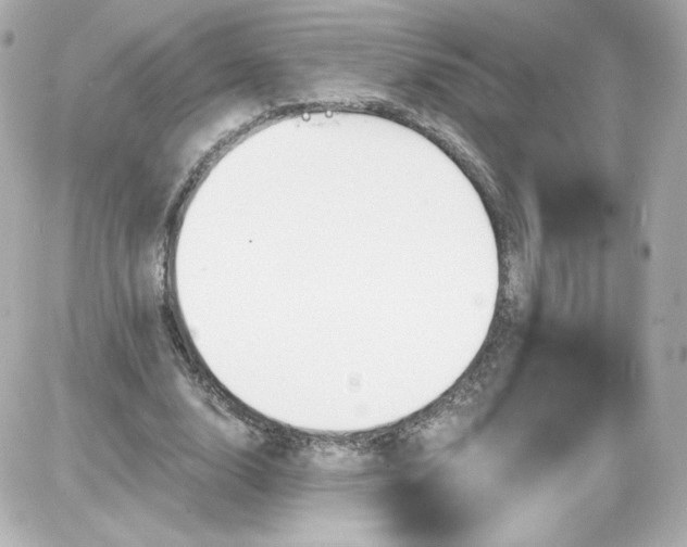 X0000087530632200705112032