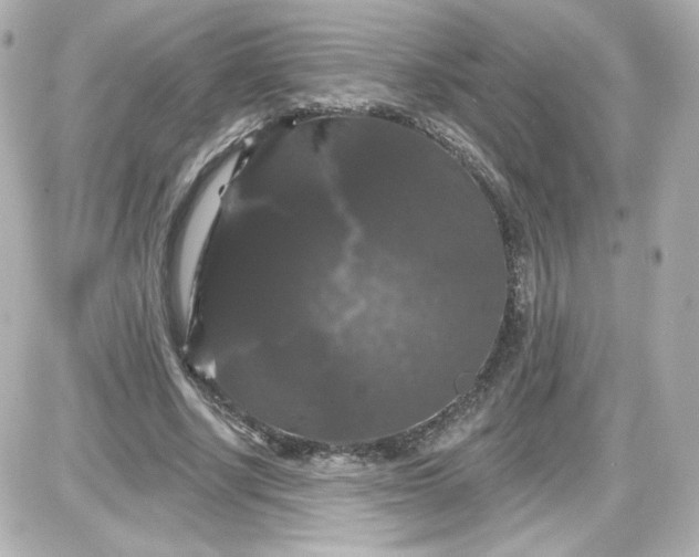 X0000087530634200705112032