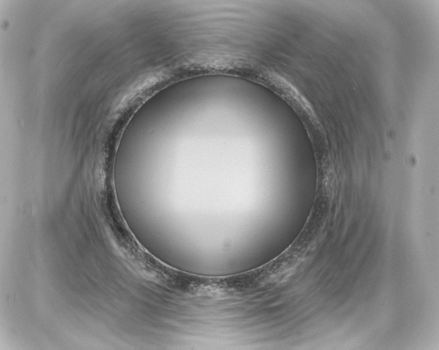 X0000087530635200705112032