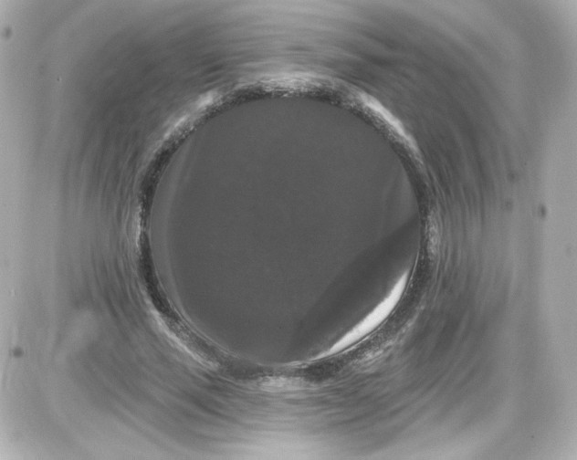 X0000087530637200705112032