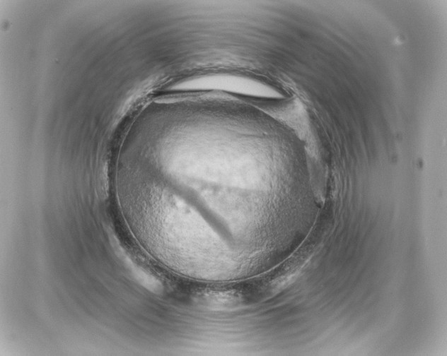 X0000087530638200705112032