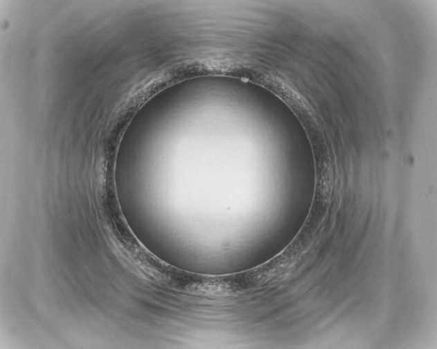 X0000087530639200705112032