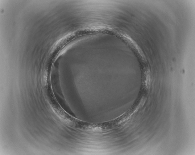 X0000087530640200705112032