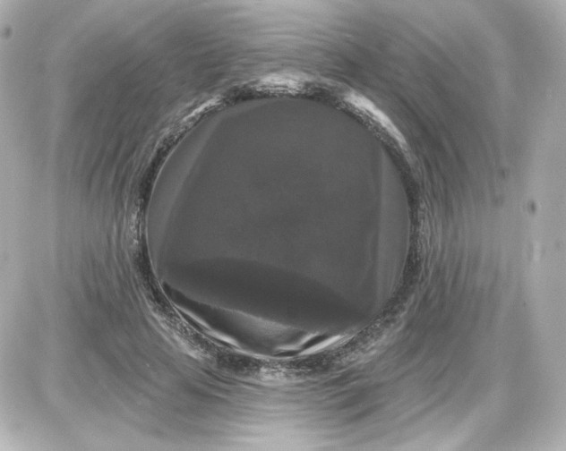 X0000087530641200705112032