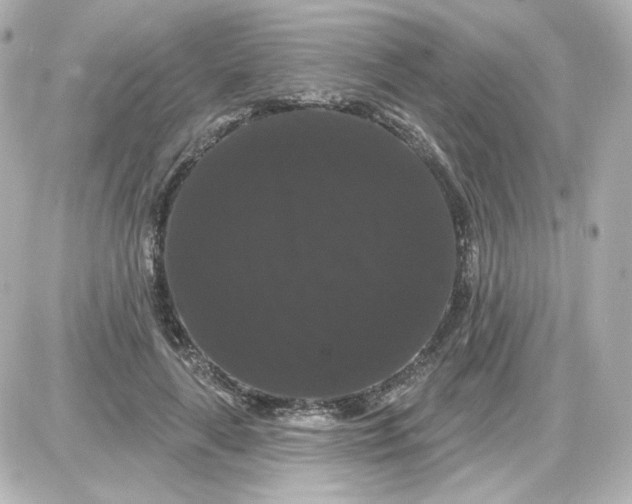 X0000087530643200705112032