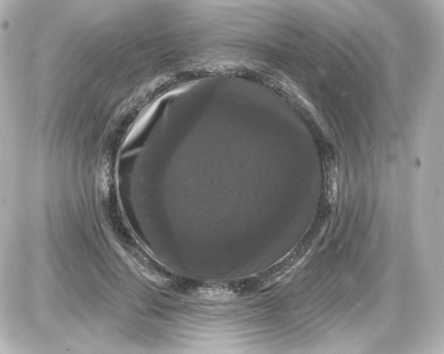 X0000087530644200705112032