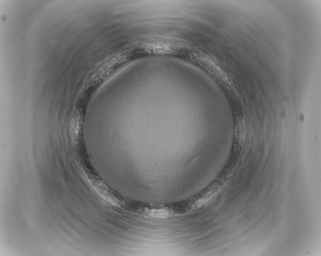 X0000087530645200705112032