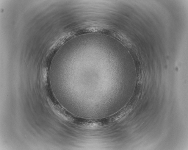 X0000087530646200705112032