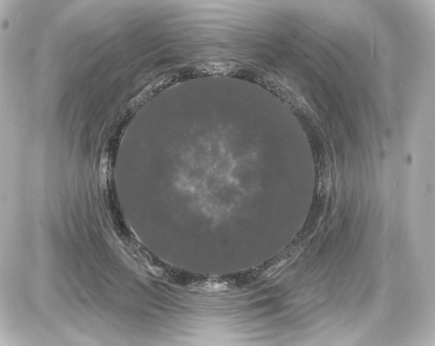 X0000087530647200705112032