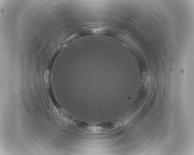 X0000087530650200705112032