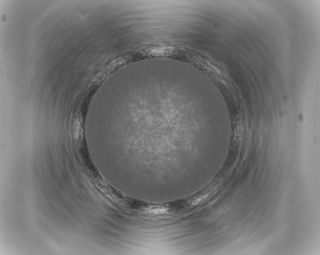 X0000087530651200705112032