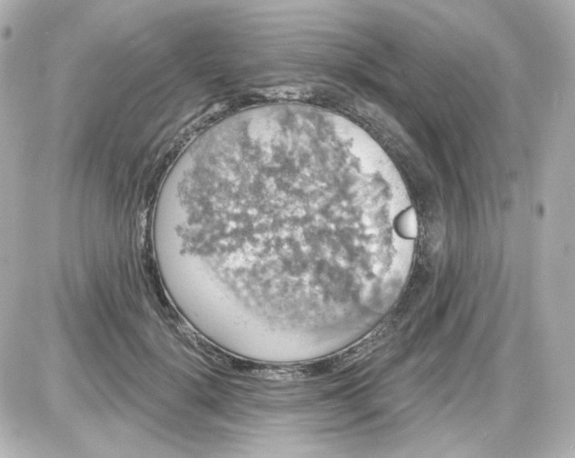 X0000087530652200705112032