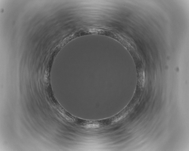 X0000087530653200705112032