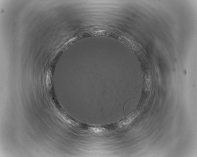 X0000087530654200705112032