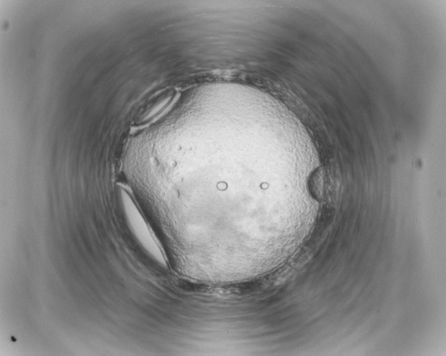 X0000087530656200705112032