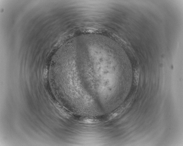 X0000087530657200705112032