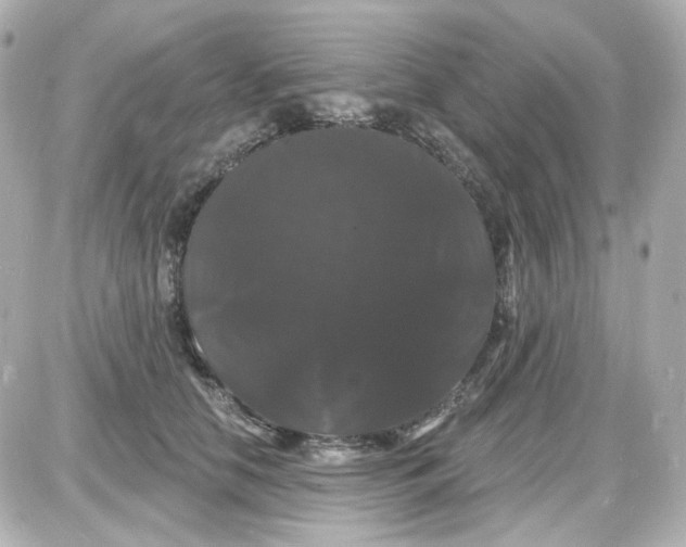 X0000087530658200705112032