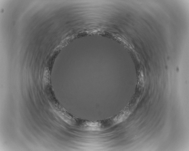 X0000087530659200705112032