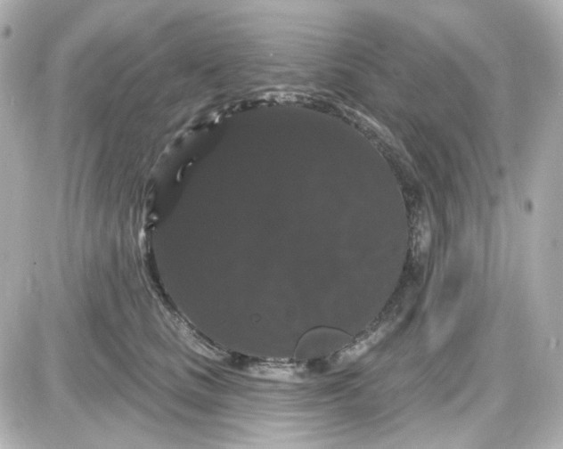 X0000087530661200705112032