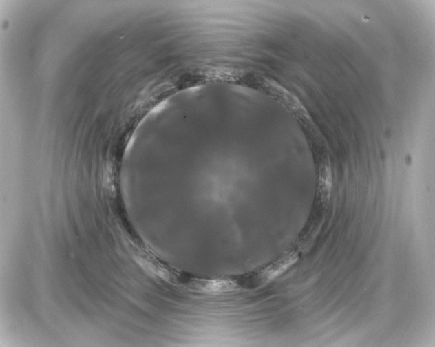 X0000087530663200705112033