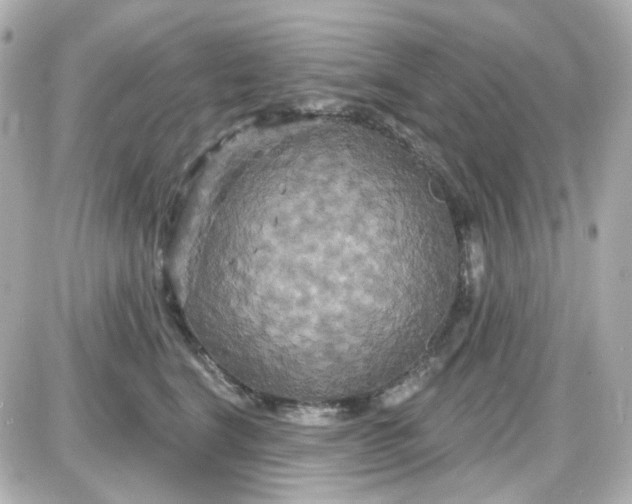 X0000087530664200705112033