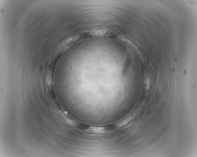 X0000087530665200705112033