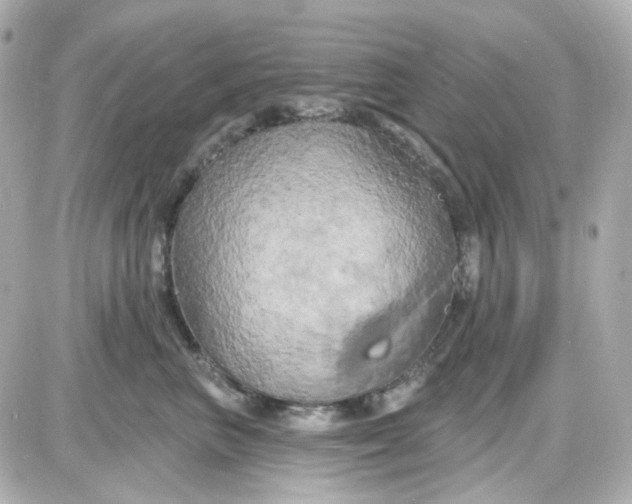 X0000087530667200705112033