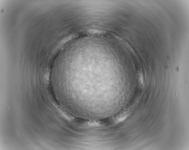 X0000087530668200705112033