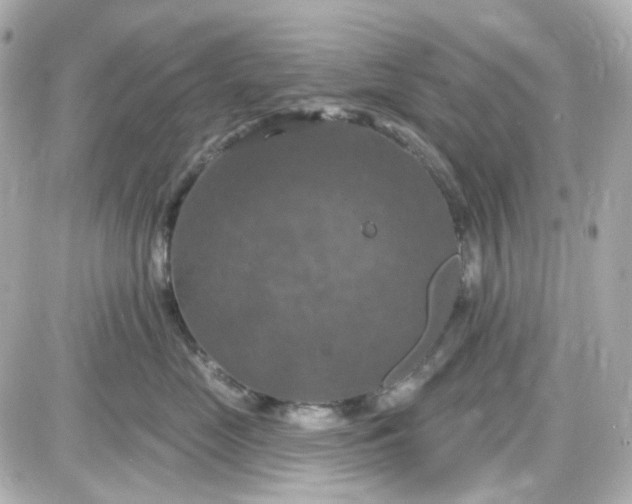 X0000087530669200705112033