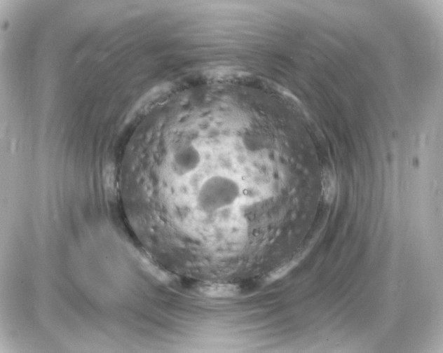 X0000087530670200705112033