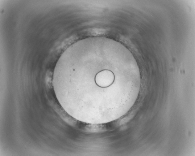 X0000087530672200705112033