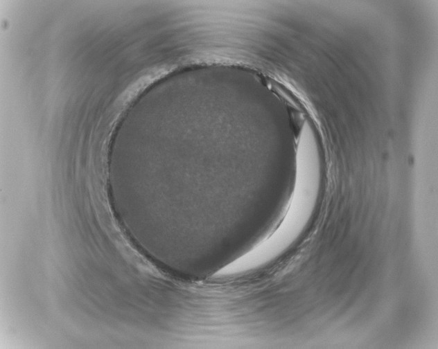 X0000087530673200705112032