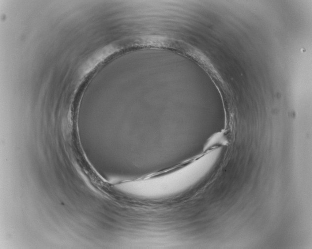 X0000087530674200705112032