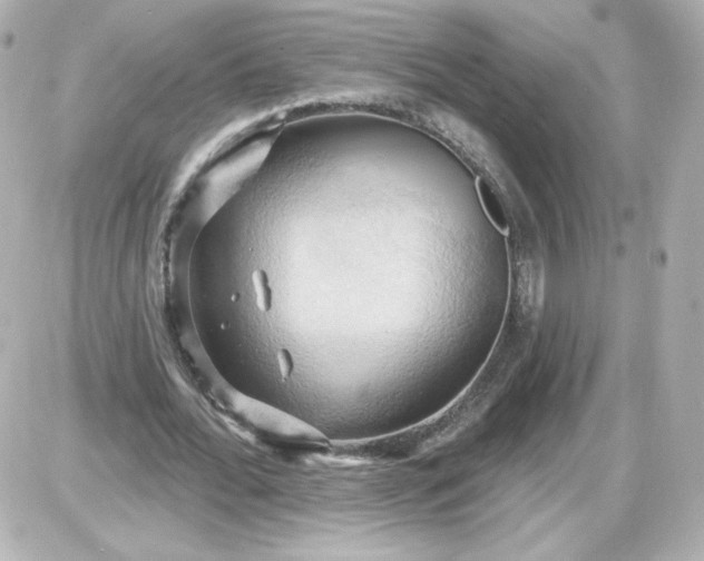 X0000087530676200705112032