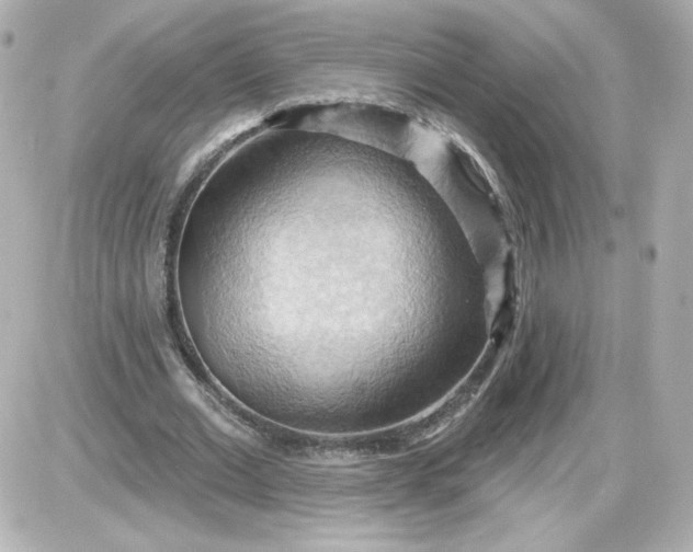 X0000087530677200705112032