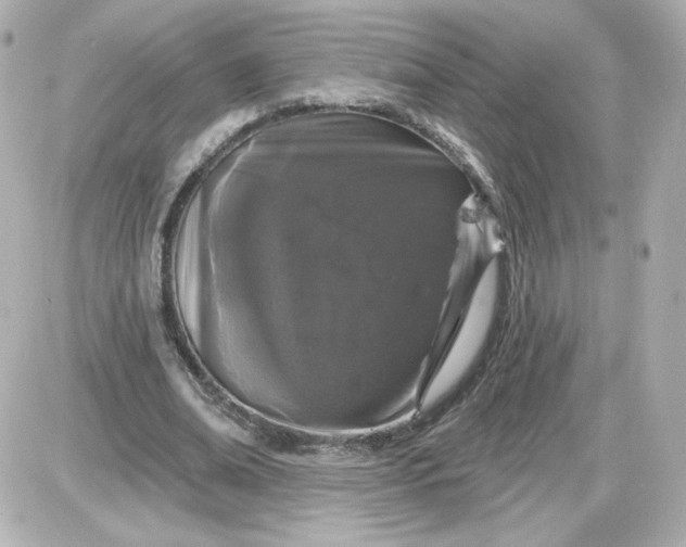 X0000087530678200705112032