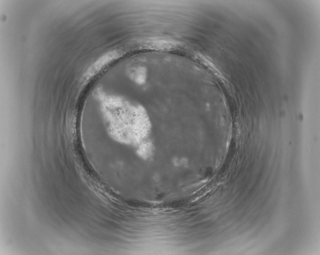 X0000087530679200705112032