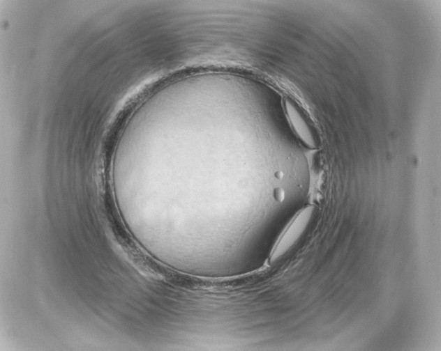 X0000087530680200705112032