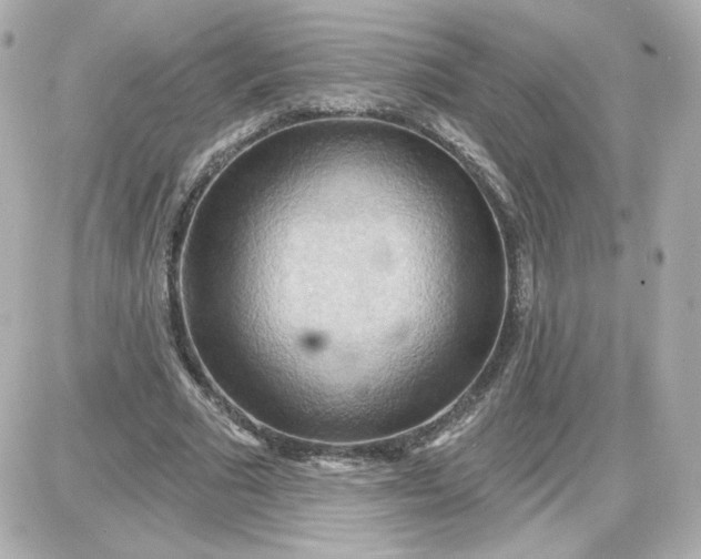 X0000087530681200705112032