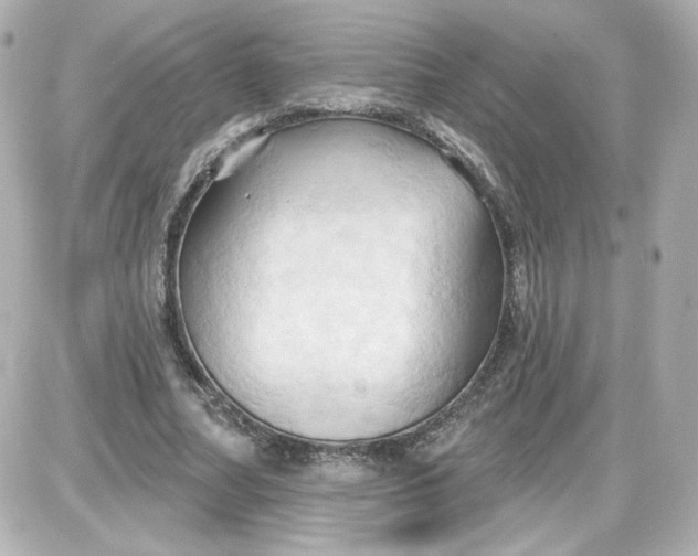 X0000087530682200705112032