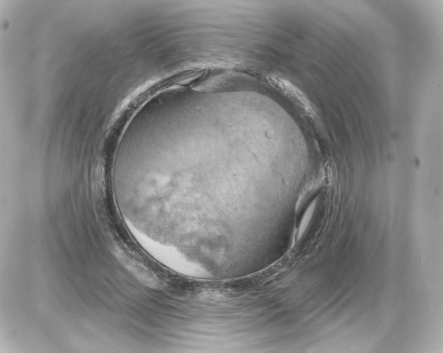 X0000087530684200705112032