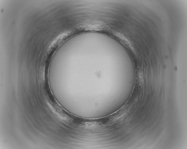 X0000087530686200705112032