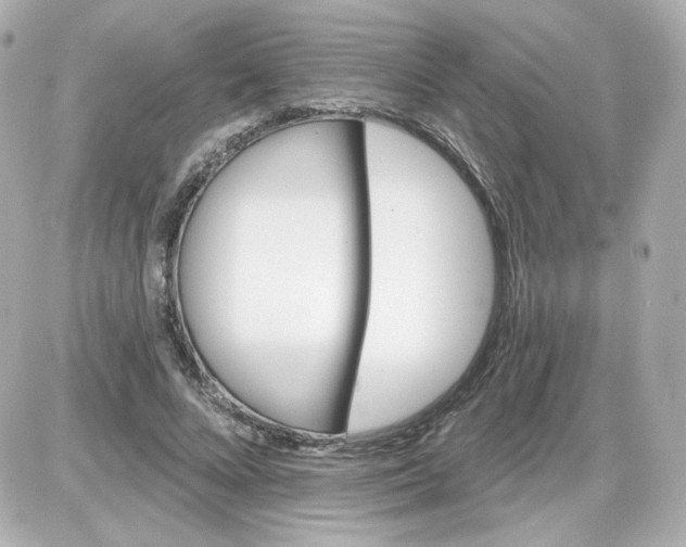 X0000087530688200705112032