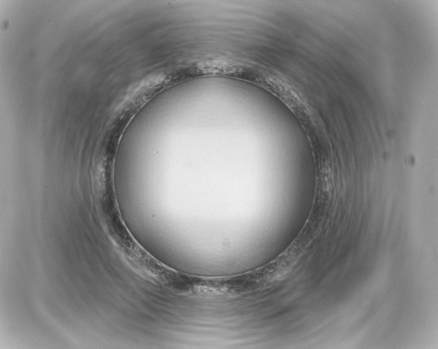 X0000087530690200705112032