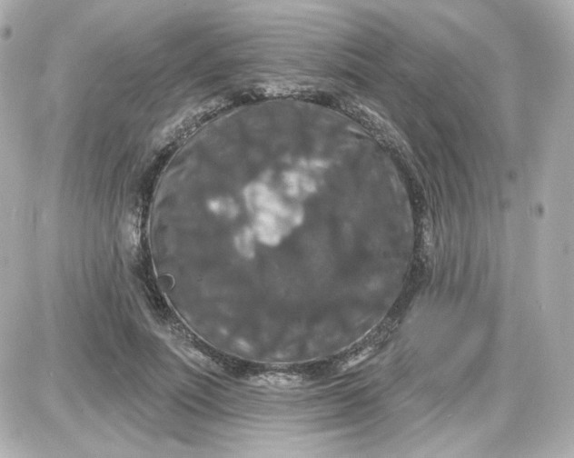 X0000087530691200705112032