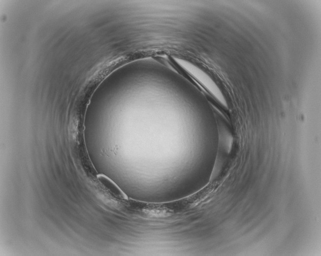 X0000087530693200705112032